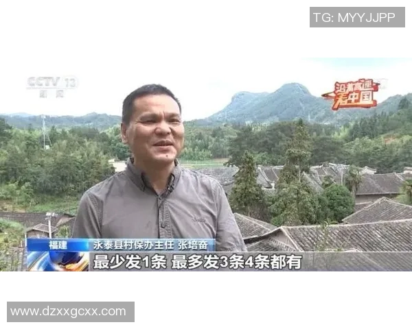 《足球星一号到三十号：探索每个号码背后的传奇与故事》