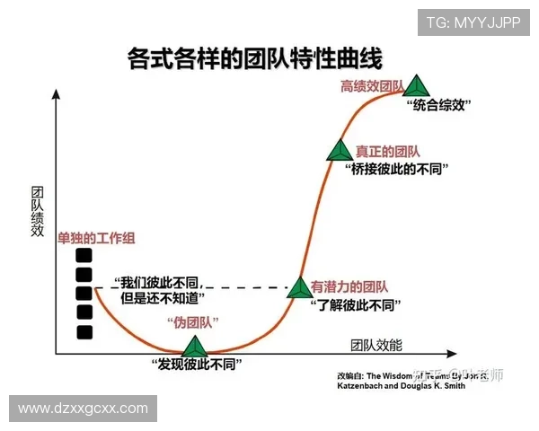北京羽毛球队在冠军赛中的团队协作表现分析与启示 北京羽毛球队在冠军赛中的团队协作表现分析与启示