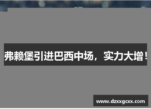 弗赖堡引进巴西中场，实力大增！