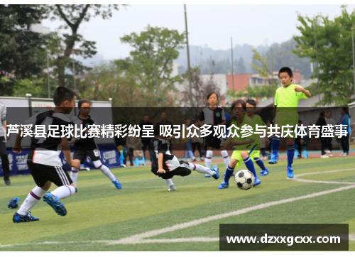 芦溪县足球比赛精彩纷呈 吸引众多观众参与共庆体育盛事