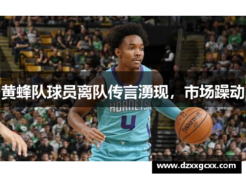 黄蜂队球员离队传言湧现，市场躁动
