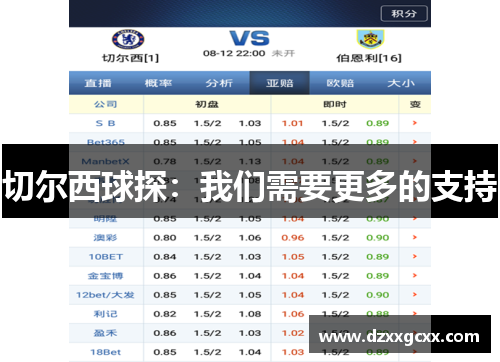 切尔西球探：我们需要更多的支持