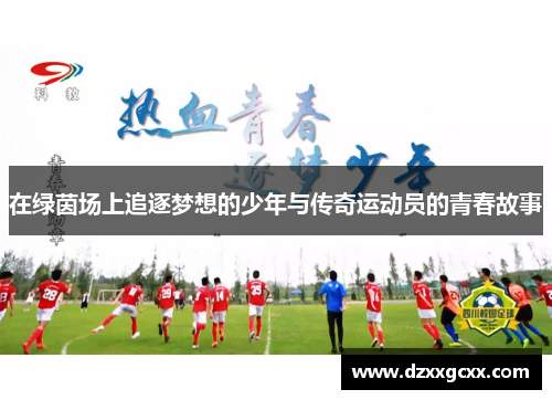 在绿茵场上追逐梦想的少年与传奇运动员的青春故事