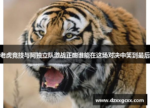 老虎竞技与阿独立队激战正酣谁能在这场对决中笑到最后