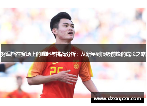 努涅斯在赛场上的崛起与挑战分析：从新星到顶级前锋的成长之路